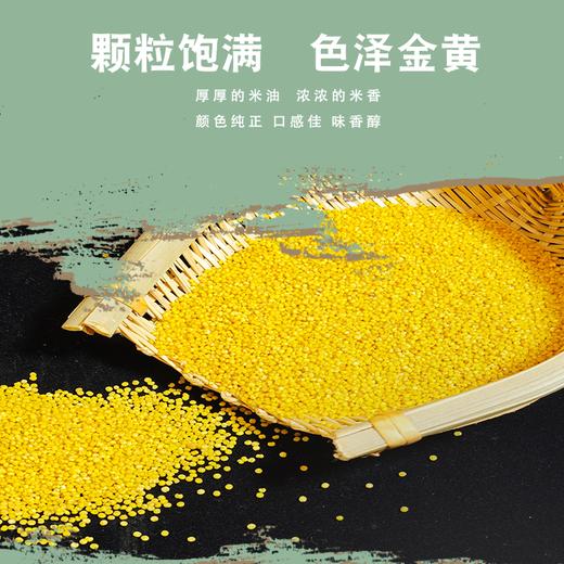 析城山 有机小米礼盒  3kg/提 商品图3