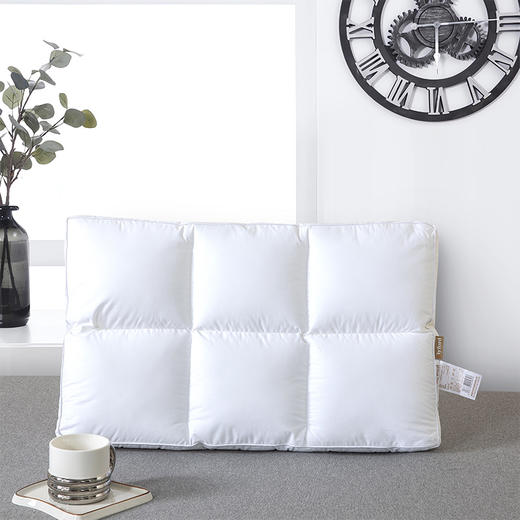 【百富精选】全棉抗菌防螨枕 商品图0