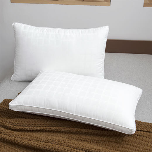 【百富精选】五星沐享羽丝绒枕【一对装】 商品图0