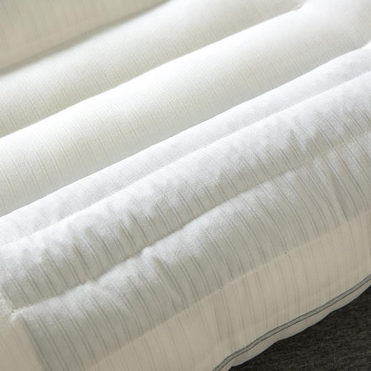 【百富精选】优享草本植物枕 商品图3