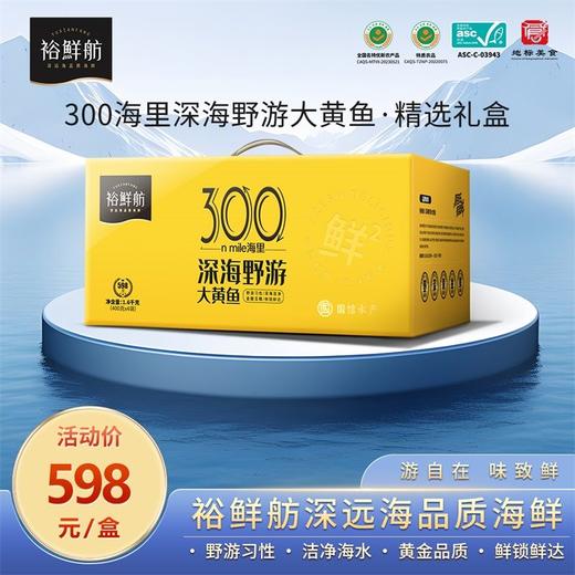 裕鲜舫 300海里大黄鱼礼盒400-500g/条*4条 商品图0