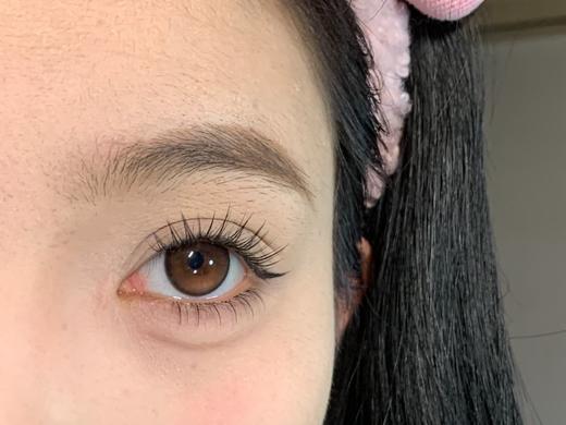 Curly puppy半年抛--贝贝南瓜 商品图11