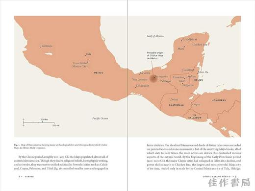 Codice Maya de Mexico: Understanding the Oldest Surviving Book of the Americas / 墨西哥玛雅抄本：了解美洲最古老的幸存书 商品图1