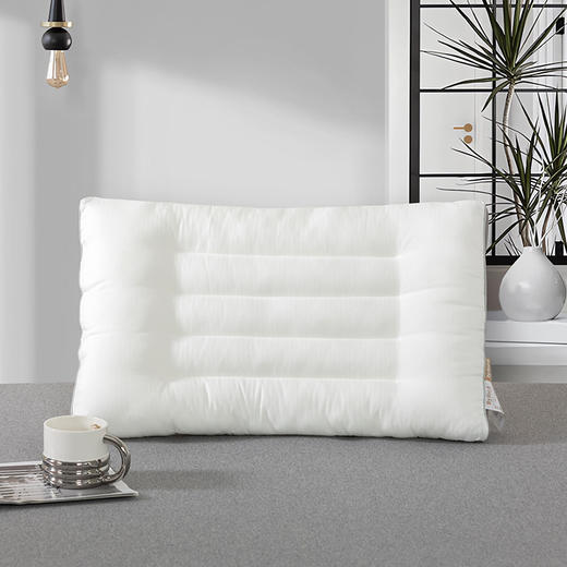 【百富精选】悦享草本植物枕 商品图0