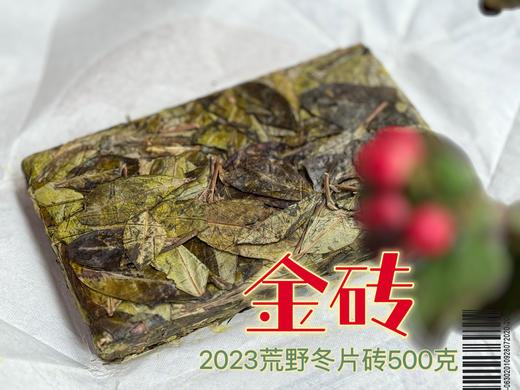 【金砖来了】2023荒野冬片《金砖》来了，依旧独一无二，依旧稀缺级！ 商品图1