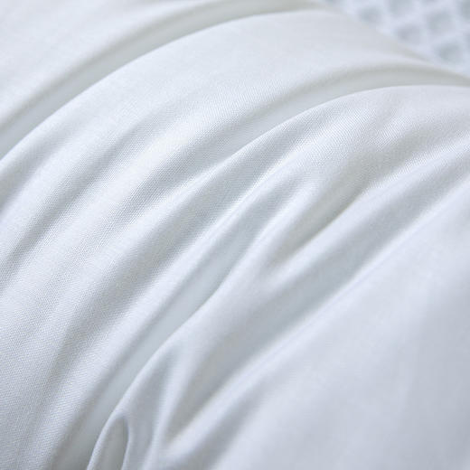 【百富精选】磁条竹炭护颈枕 商品图5