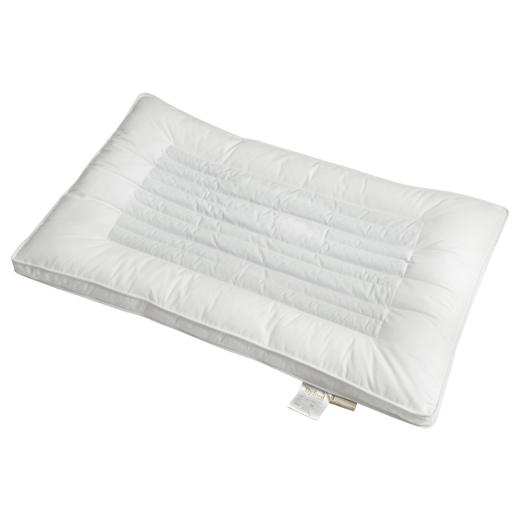 【百富精选】决明子竹炭健康枕 商品图5