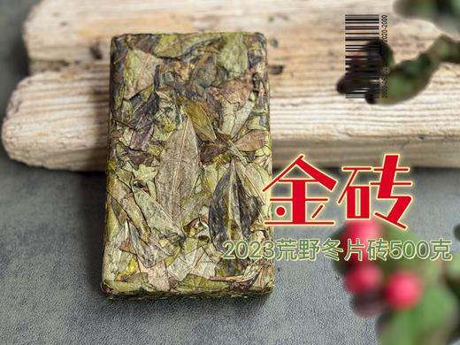 【金砖来了】2023荒野冬片《金砖》来了，依旧独一无二，依旧稀缺级！ 商品图4