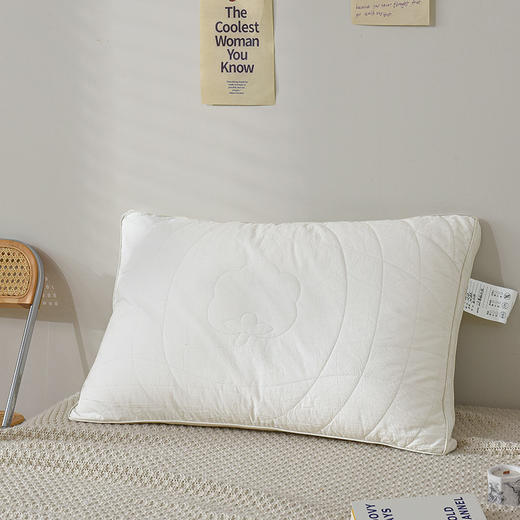 【百富精选】全棉生态棉花枕 商品图0