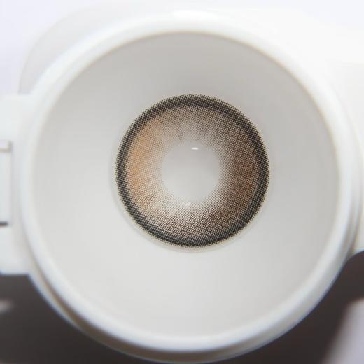 Curly puppy半年抛--小熊饼干 商品图7