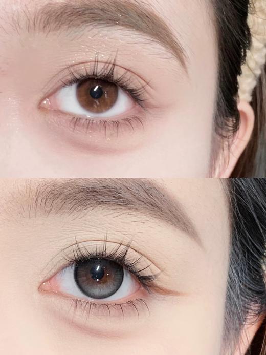 Curly puppy半年抛--黑松露 商品图2