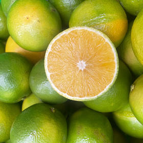 散称冰糖橙花斑果 约1000g/份