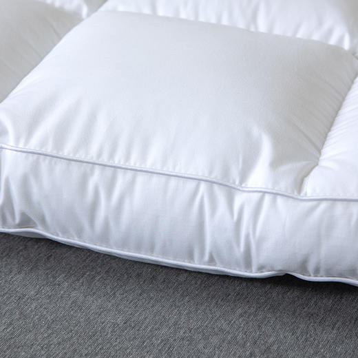 【百富精选】全棉抗菌防螨枕 商品图4