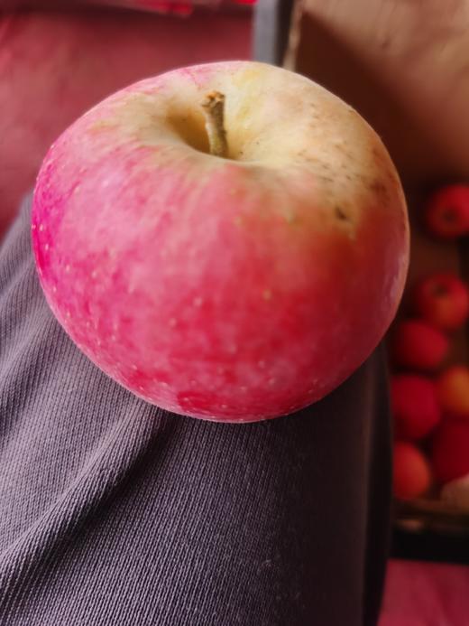 陈勇志 酵素苹果8斤 八年口碑好评如潮，口感好 【顺丰包邮 】 商品图2