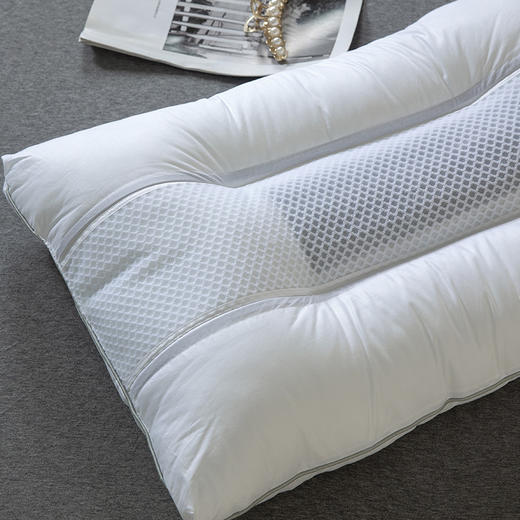 【百富精选】磁条竹炭护颈枕 商品图2