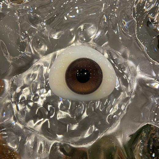 Curly puppy半年抛--小熊饼干 商品图4