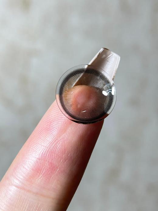 Curly puppy半年抛--小熊饼干 商品图6