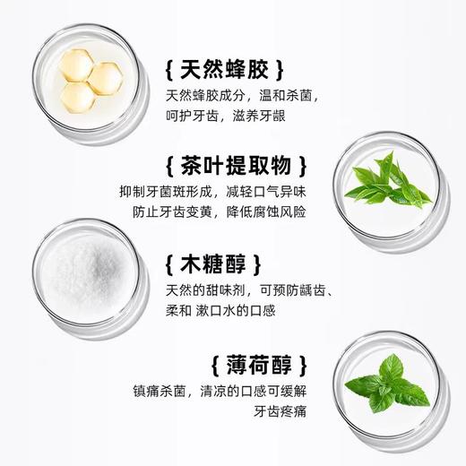 Propolinse比那氏樱花复合温和漱口水家庭装600ml 商品图4