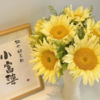 花友专享 | 油画向日葵 浅色系 2枝 商品缩略图1