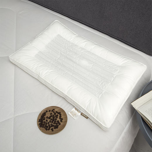 【百富精选】决明子竹炭健康枕 商品图1