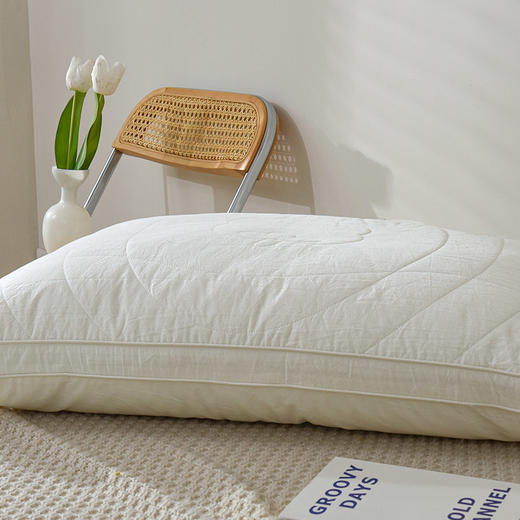 【百富精选】全棉生态棉花枕 商品图2