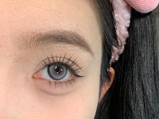 Curly puppy半年抛--小象灰 商品图6