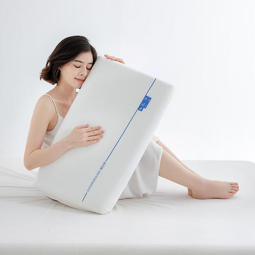 【百富精选】泰勒慢回弹记忆枕 商品图0