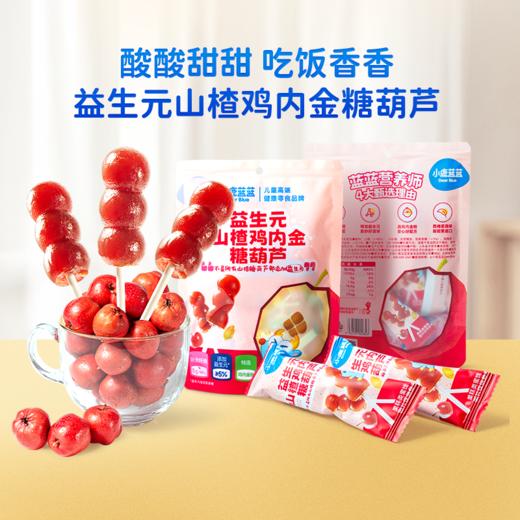 蓝蓝零食_益生元山楂鸡内金糖葫芦 商品图1