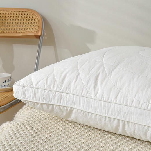 【百富精选】全棉生态棉花枕 商品图3