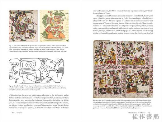 Codice Maya de Mexico: Understanding the Oldest Surviving Book of the Americas / 墨西哥玛雅抄本：了解美洲最古老的幸存书 商品图3