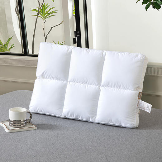 【百富精选】全棉抗菌防螨枕 商品图1