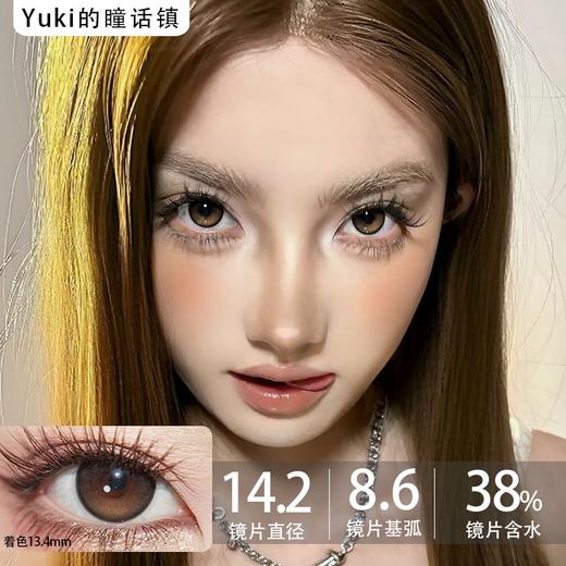 Curly puppy半年抛--小熊饼干 商品图0