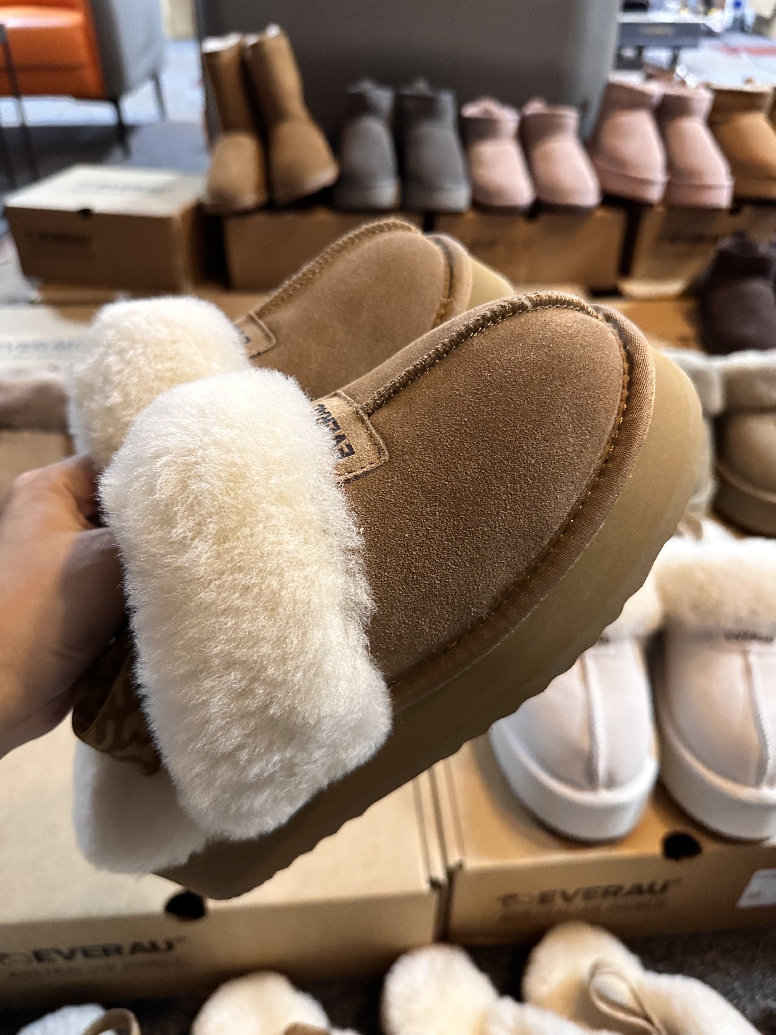 Коалаби является одним из первых брендовugg, вышед