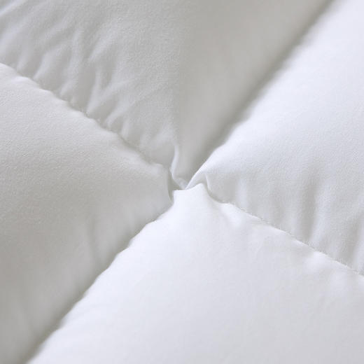 【百富精选】全棉抗菌防螨枕 商品图6