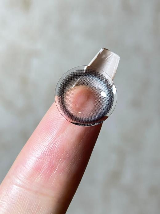 Curly puppy半年抛--小象灰 商品图4