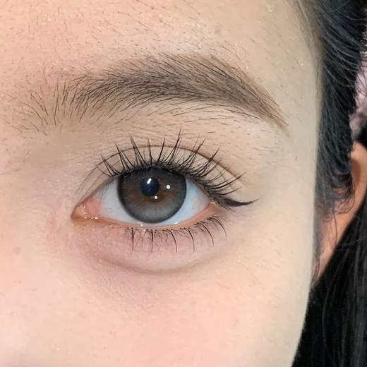 Curly puppy半年抛--黑松露 商品图1