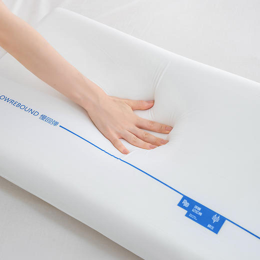 【百富精选】泰勒慢回弹记忆枕 商品图1