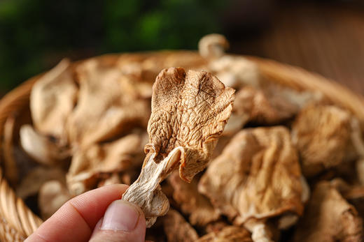 有机元蘑  东北特产甄选系列礼盒装200g/盒 商品图8