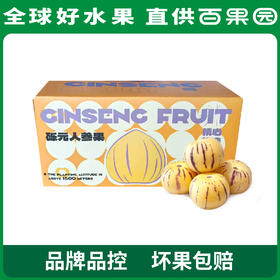 PAGODA百果园 树上熟人参果（大）4.5斤彩箱装