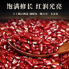 【一件代发T】精品东北赤小豆500g/袋*2 商品缩略图0