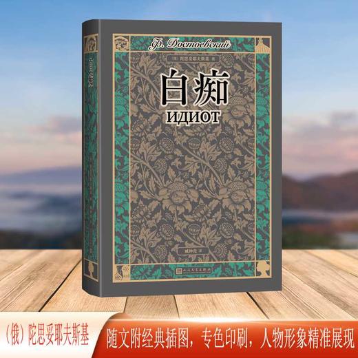白痴 商品图1