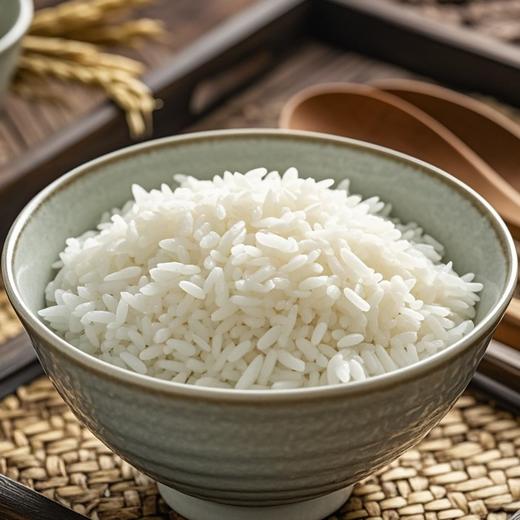 米饭（小份） 商品图0