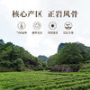 正山堂岩语 兰底丛韵水仙茶叶礼盒装 正宗武夷岩茶年货送礼长辈51g 商品缩略图4