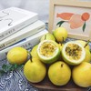 钦蜜9号 黄金百香果 当季大果新鲜纯甜原浆黄晶果酱 商品缩略图0
