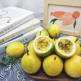 钦蜜9号 黄金百香果 当季大果新鲜纯甜原浆黄晶果酱