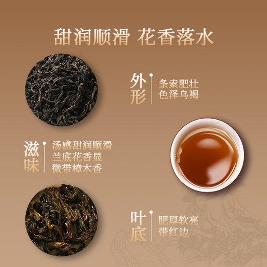 正山堂岩语 兰底丛韵水仙茶叶礼盒装 正宗武夷岩茶年货送礼长辈51g 商品图3