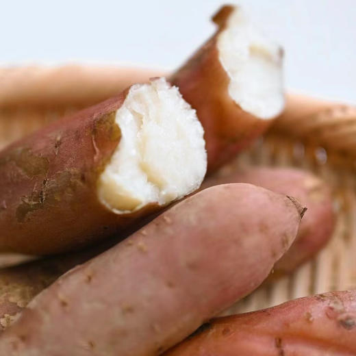 黑土地白哈蜜红薯 5斤 商品图3