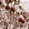 生态驱寒养血茶/桂圆姜枣茶（成都仓库-顺丰快递 ）｜68gx5小袋【原乡自产】 商品缩略图7