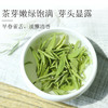 2026新茶5星雀舌绿茶明前青叶甘露茶叶125g*2袋 商品缩略图2