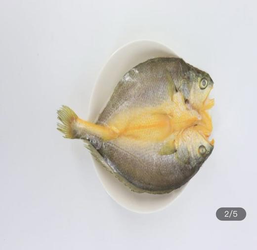 0593【国企严选，山海食材】速冻原味大黄鱼去鳞去鳃去内脏新鲜宁德海鲜原味黄花鱼250g 商品图1